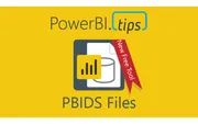 Make PBIDS Files