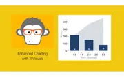 Digging Deeper with R Visuals for PowerBI